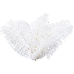 White 24Pcs Ostrich Feather Costume Accessories, Sewing Craft Decoration, Feather, White, 223x100x2mm, about 24pcs/bag