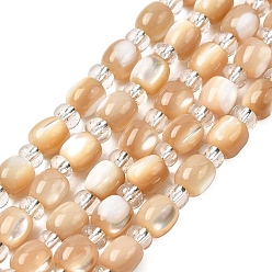 Сэнди Коричневый Натуральная оболочка из трохидных оболочек, с бисером, баррель, песчаный коричневый, 6x5.5~6 мм, отверстие : 1 мм, около 20 шт / нитка, 6.97'' (17.7 см)