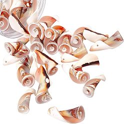 Freshwater Shell Natural Freshwater Shell Beads, 27~43x13~20mm, Hole: 1mm, 30pcs/box