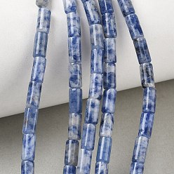 Jaspe Avec Point Bleu Perles de jaspe tache bleue naturelle, colonne, 8x4mm, Trou: 1mm, Environ 49 pcs/chapelet, 15.35'' (39 cm)
