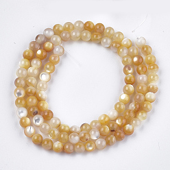 Gold Yellow Shell Beads Strands, Round, Gold, 4mm, Hole: 0.7mm, about 94pcs/strand, 15.3 inch