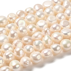 Seashell Color Natural Cultured Freshwater Pearl Beads Strands, Two Side Polished, Grade 3A+, Seashell Color, 8~9x8.5~9.5x6~7mm, Hole: 0.6mm, about 41~42pcs/strand, 13.58''(34.5cm)