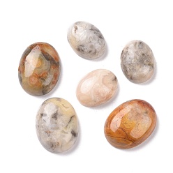 Crazy Agate Natural Crazy Agate Cabochons, Oval, 14~20x10~15x5~6.5mm