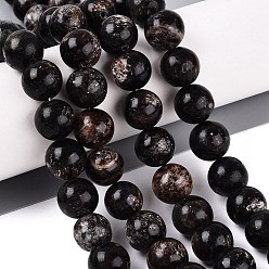 Biotite Natural Biotite Beads Strands, Smooth Round, 12~12.5mm, Hole: 0.9~1mm, about 32pcs/strand, 14.76~15.16 inch(37.5~38.5cm)