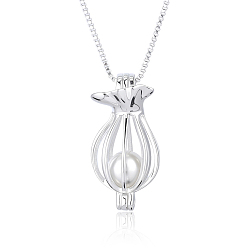 Серебро 925 подвесные стерлингового серебра ожерелья, с латунной цепью, серебряные, 17.72 дюйм (45 см)