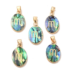 Скорпион Подвески созвездия из натуральных ракушек пауа, овальные подвески из латуни золотистого цвета, Скорпион, 22x13x3~3.5 мм, отверстие : 6x3 мм