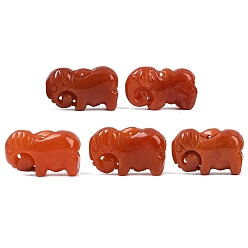 Шоколадный Подвески из натурального бирманского нефрита, окрашенные и резные., Слон прелести, цвет шоколада, 13.5~15x23~24.5x8.5~9 мм, отверстие : 1 мм