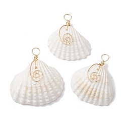 Light Gold Подвески из медной проволоки в виде ракушки из натурального ковчега, подвески в форме ракушек, золотой свет, 28~35x26~32.5x10.5~14.5 мм, отверстие : 3.5 мм