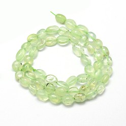 Prehnite Natural Prehnite Nuggets Beads Strands, Tumbled Stone, 5~10x6~7x3~7mm, hole: 1mm, about 14.9 inch~15.7 inch