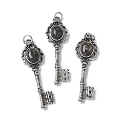 Кровь драконов Ключ латунные подвески из натуральной драконьей крови большие, с целью перехода в кольце, античное серебро, 55.5x16.5x5~6.5 мм, отверстие : 4.5 мм