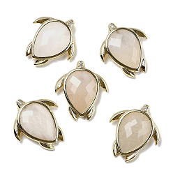 Лунный Камень Естественно лунный подвески, С нахождением латуни и кубическим цирконием, черепаховые чары, граненые, 24.5x21.5x6.5 мм, отверстие : 3.5x2 мм