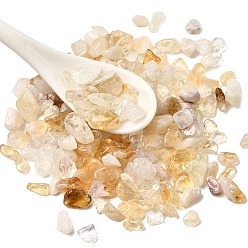 Цитрин Нагретые бусины из натурального цитрина, чип, нет отверстий / незавершенного, 4.5~15x3~8 мм