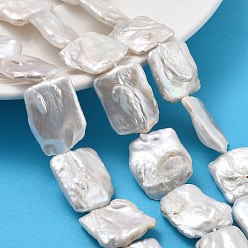 Белый Дым Натуральный жемчуг в стиле барокко кеши, культивированный пресноводный жемчуг, прямоугольные, серый, 18~24x16~18x4~7 мм, отверстие : 0.6 мм, около 20 шт / нитка, 14.76''~15.55'' (37.5~39.5 см)