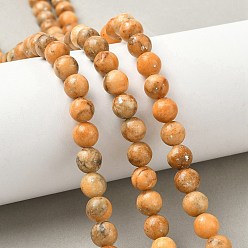 Оранжевый Нити из окрашенных натуральных доломитовых бусин, круглые, с блестками, оранжевые, 7~8 мм, отверстие : 0.8~1 мм, около 50~51 шт / нитка, 15.75'' (40 см)