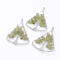 Перидот Долговечные латунные подвески, проволочные подвесные подвески, с натуральными чипсами перидот, Треугольник с деревом, платина, 39~40x30~31x4~8 мм, отверстие : 4.5 мм