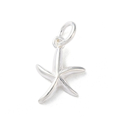 Starfish 925 Sterling Silver Sea Animal Starfish Charms, with Jump Rings, Starfish, 13x10x2.2mm, Hole: 3.9mm