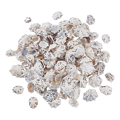 Снежный 400г натуральные бусины из ракушек, без отверстия , для поделок из ракушек ручной работы, снег, 15~27x13~21x7~12.5 мм