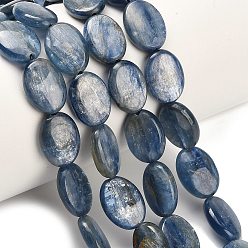 Синий Натуральный кианитовые бисер пряди, форма яйца, синие, 13.5~14.5x10~10.5x3.5~4.5 мм, отверстие : 0.8 мм, около 29 шт / нитка, 15.75'' (40 см)