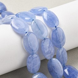Светло-Голубой Натуральный Malaysia нефритовые бусы пряди, окрашенные, Плоско-овальные, Небесно-голубой, 18x13x5 мм, отверстие : 1 мм, около 10~11 шт / нитка, 7.28''~7.87'' (18.5~20 см)