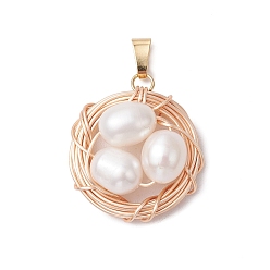 Light Gold Подвески в виде птичьего гнезда из натурального пресноводного жемчуга с медной проволокой, цветочный белый, золотой свет, 26x23x10 мм, отверстие : 6.5x3 мм