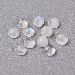 Rainbow Moonstone Кабошоны из натурального радужного лунного камня, полукруглые / купольные, 4x2 мм