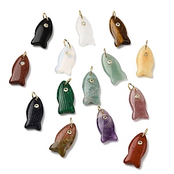 Смешанные камни Природные и синтетические смешанные каменные подвески, подвески в виде рыбок с латунной микрофиброй и фианитами, золотые, 24x12x5 мм, Перейти кольцо: 8x1 мм, внутренний диаметр: 6 мм