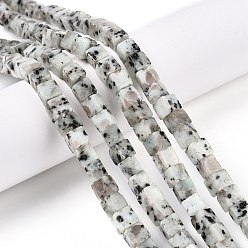 Джаспер Кунжут Натуральный кунжут яшма / киви нитки бусины яшмы, кубические, 6~7x6~6.5x6~6.5 мм, отверстие : 1 мм, около 60~61 шт / нитка, 15.04~15.35'' (38.2~39 см)