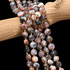 Древесный агат Нити из натуральных бусин красного древесного агата, с бисером, граненые, плоско-круглые, 6~6.5x4 мм, отверстие : 1.2 мм, около 49~52 шт / нитка, 15.35~15.75'' (39~40 см)