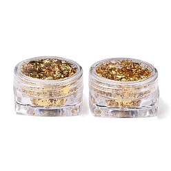 Pale Goldenrod Foil Flakes, DIY Gilding Flakes, for Epoxy Jewelry Accessories Filler, Pale Goldenrod, Box: 2.9x1.6cm