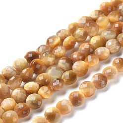 Тигровый глаз Природных тигровый глаз бисер нитей, граненые, плоско-круглые, 6~7x4~4.5 мм, отверстие : 1 мм, около 61~64 шт / нитка, 14.96 дюйм (38 см)