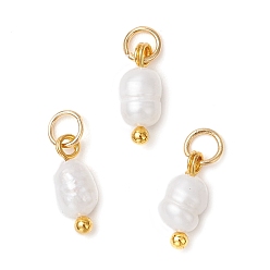 Золотой Подвески-картофелины из натурального пресноводного жемчуга с латунными соединительными кольцами, цветочный белый, золотые, 9.5~10.5x4~4.5x3.5~4.5 мм, отверстие : 2.5 мм