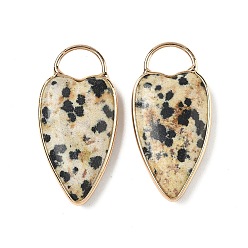 Далматинских Джаспер Природные яшмы далматин подвески, подвески в форме сердца с латунной оправой, золотые, 35x17x6 мм, отверстие : 6x9 мм