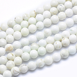 Magnesite Natural Magnesite Beads Strands, Round, 6mm, Hole: 1mm, about 64pcs/strand, about 15 inch