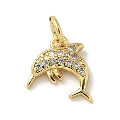 Dolphin Латунные микропаве прозрачные подвески с фианитом, с целью перехода в кольце, морские животные амулеты, дельфин, 11x10x2.5 мм, отверстие : 3 мм