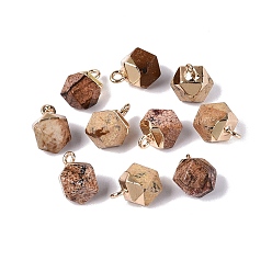 Picture Jasper Natural Picture Jasper Pendants, Polygon Charms, with Golden Tone Brass Loops, 11.5~14x7~9.5x7~9.5mm, Hole: 1.6~1.8mm