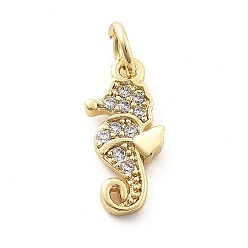 Sea Horse Латунные микро проложить кубического циркония подвески, настоящие 18k позолоченные подвески, с целью перехода в кольце, морской конек, 14.5x7.5x2 мм, отверстие : 3 мм