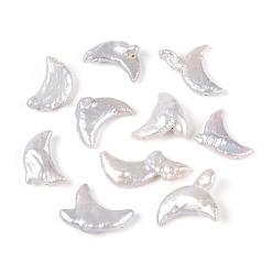 Морская Ракушка Натуральный жемчуг в стиле барокко кеши, зарождающаяся жемчужина, луна, цвет морской раковины, 15.5~25x8~20x3~11 мм, отверстие : 0.6 мм