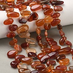 Red Agate Натуральный красный агат бисер нитей, окрашенная и подогревом, слеза, Топ пробуренной, с бисером, 10~28x8~12x4~8 мм, отверстие : 0.9 мм, около 42~44 шт / нитка, 15.16''~15.55'' (38.5~39.5 см)