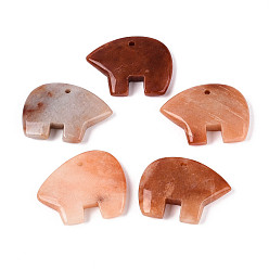 Красный Авантюрин Натуральные красные авантюрины большие подвески, амулеты в виде медведя зуни, 36~44x48~55x7 мм, отверстие : 3~3.5 мм