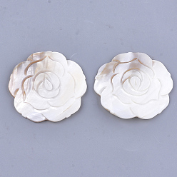 Ivoire Cabochons en coquille d'eau douce sculptés, fleur, ivoire, 70~71x70~71x5mm