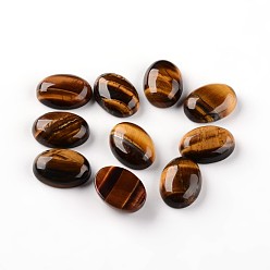 Тигровый глаз Овальные глаза кабошоны естественный тигр, 18x13x6 мм