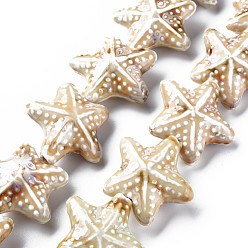 Цвет Древесины Бусины из фарфора и керамики ручной работы, Famille выросли стиле, звезда, деревесиные, 37x39x15.5 мм, отверстие : 3 мм, около 9 шт / нитка, 11.97 дюйм (30.4 см)
