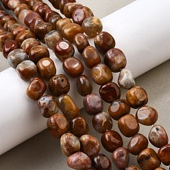 Деревянное Окаменение Природные окаменелое дерево бисер пряди, самородки, упавший камень, 7~12x7~10x7~10 мм, отверстие : 1.2~1.4 мм, около 41 шт / нитка, 15.39 дюйм (39.1 см)