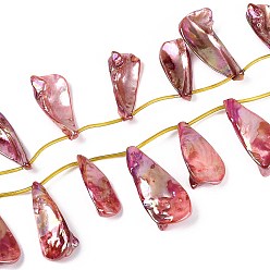 Индийский Красный Нити бусин из натуральных пресноводных ракушек, окрашенных в цвет AB, слеза, Топ пробуренной, Индийская красная, 33~49x14~23x5~11 мм, отверстие : 0.5 мм, около 13 шт / нитка, 11.69~12.20'' (29.7~31 см)