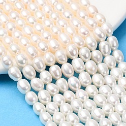 Папайя Оранжевый Нити из натурального культивированного пресноводного жемчуга, рис, класс 4а+, papayawhip, 5~5.5 мм, отверстие : 0.5 мм, около 57~62 шт / нитка, 14.17~15.16'' (36~38.5 см)