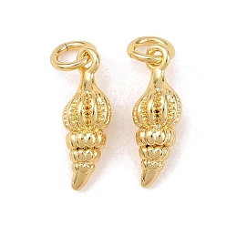 Shell Shape Латунь прелести, с целью перехода в кольце, морская тема, реальный 18 k позолоченный, формы раковины, 15.5x5 мм, отверстие : 3.5 мм