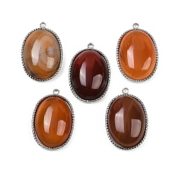 Red Agate Натуральный красный агат подвески, 304 из нержавеющей стали овальные амулеты, цвет нержавеющей стали, 22x14.5~15x6.5~8 мм, отверстие : 1.5 мм
