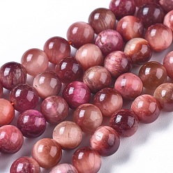 Камелия Природных тигровый глаз бисер нитей, окрашенная и подогревом, круглые, камелия, 6 мм, отверстие : 1 мм, около 60 шт / нитка, 14.3 дюйм (36.5 см)