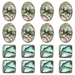 Разноцветный 16 шт. 2 нити бусин из натуральных ракушек-морских ушек/ракушек пауа, овал/квадрат, ручная работа сверление, красочный, 12~18x12~13x3~4 мм, отверстие : 0.5~1 мм, 8 шт / стиль