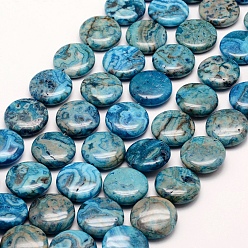 Deep Sky Blue Natural Crazy Lace Agate Beads Strands, Flat Round, Dyed, Deep Sky Blue, 20~20.5x6~7mm, Hole: 1mm, about 20pcs/strand, 15.7(40cm)